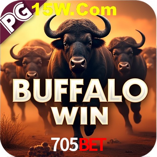 Security Systems 705bet